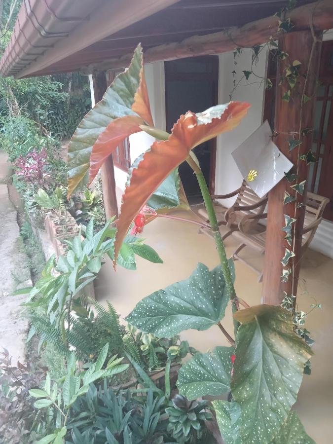Supipi Homestay Ella Luaran gambar