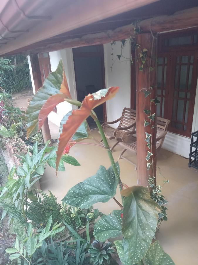 Supipi Homestay Ella Luaran gambar
