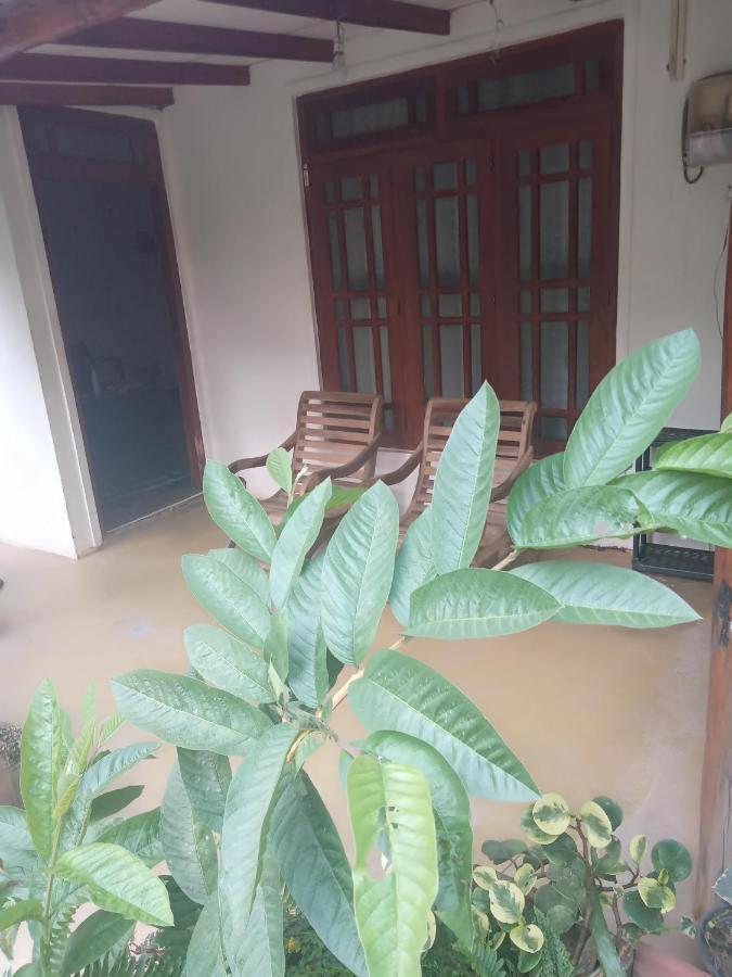 Supipi Homestay Ella Luaran gambar